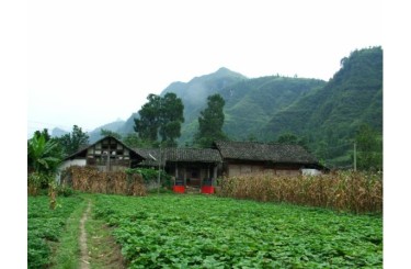 桑植、鹤峰、五峰、长阳、石门、慈利六县联县政府旧址