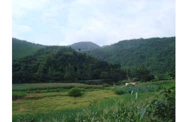 广西田林县乐里大弯弓剿匪战斗遗迹