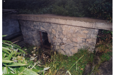 八台山一碗水红军生活遗址