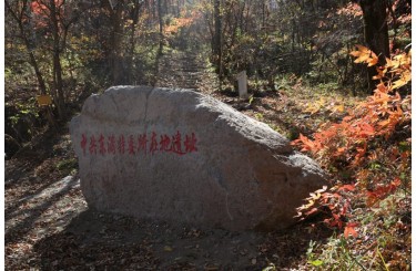 中共东满特委所在地遗址