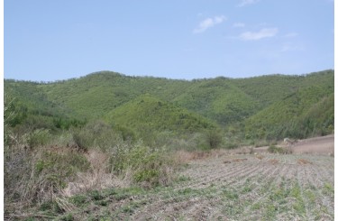 塘石河子县委遗址